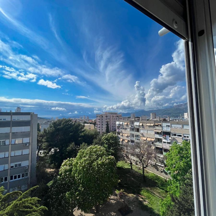 Olive Apartament