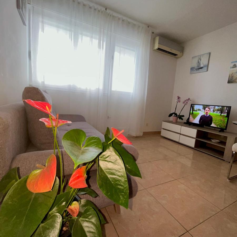Apartament Olive *